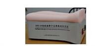 背部仿真針刺練習平臺 現(xiàn)代醫(yī)學教育的創(chuàng)新科教設(shè)備