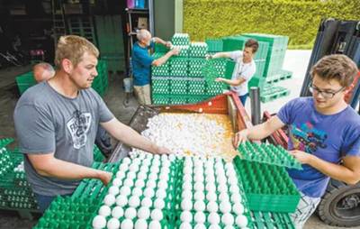 &ldquo;毒雞蛋&rdquo;大鬧歐洲?!別擔(dān)心,中國尚未從歐盟進(jìn)口禽蛋產(chǎn)品!