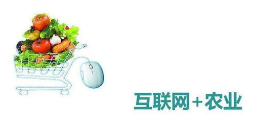 農(nóng)產(chǎn)品網(wǎng)上銷售10大營銷方式