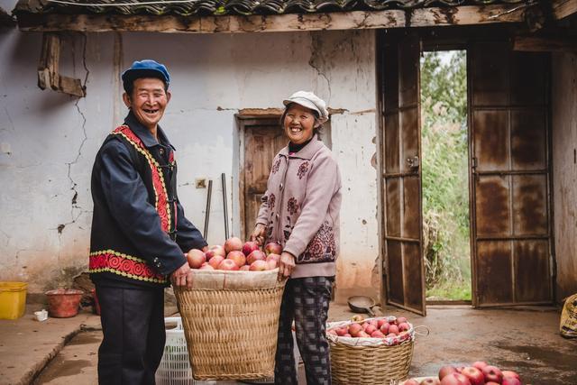 買菜成為時髦雙11淘菜菜農(nóng)產(chǎn)品銷售超過24億斤