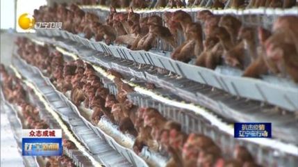 遼寧&ldquo;米袋子&rdquo;&ldquo;菜籃子&rdquo;等重要農(nóng)產(chǎn)品供應(yīng)充足